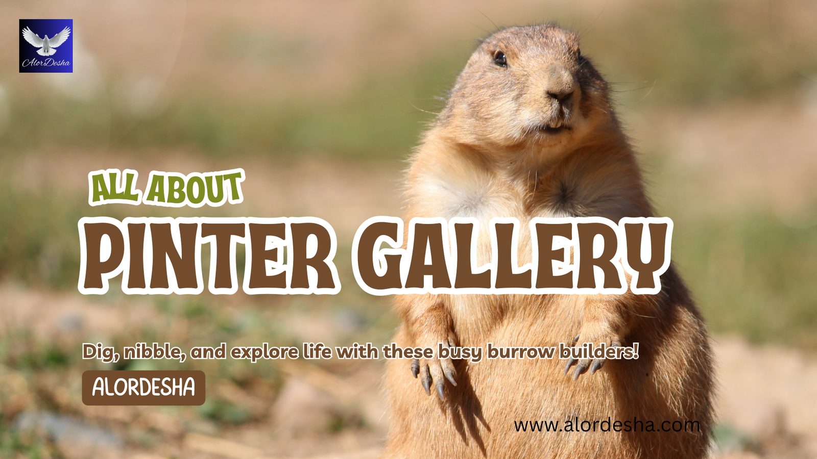 Earning today alordesha pinter gallery post