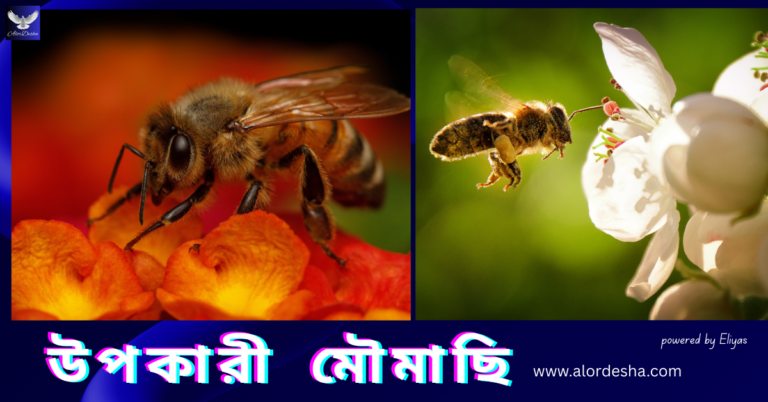 A close-up cinematic shot of beneficial bees collecting nectar from a vibrant sunflower to explain the natural pollination process.